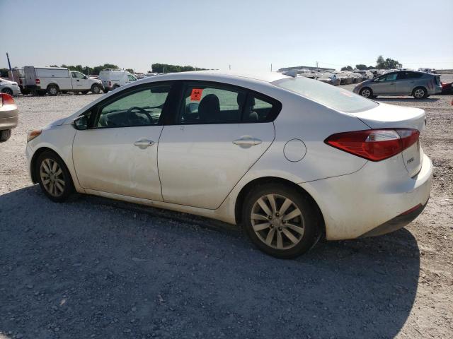 KNAFX4A60F5367912 - 2015 KIA FORTE LX WHITE photo 2