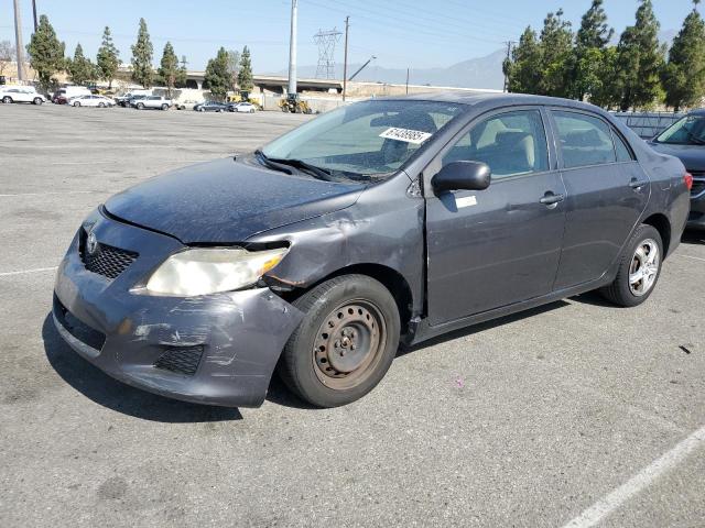 2010 TOYOTA COROLLA BASE, null