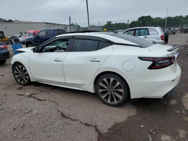 1N4AA6AV8KC373342 - 2019 NISSAN MAXIMA S WHITE photo 2