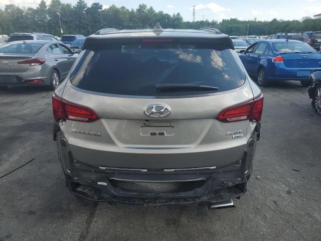 5XYZUDLB2HG387866 - 2017 HYUNDAI SANTA FE S SILVER photo 6
