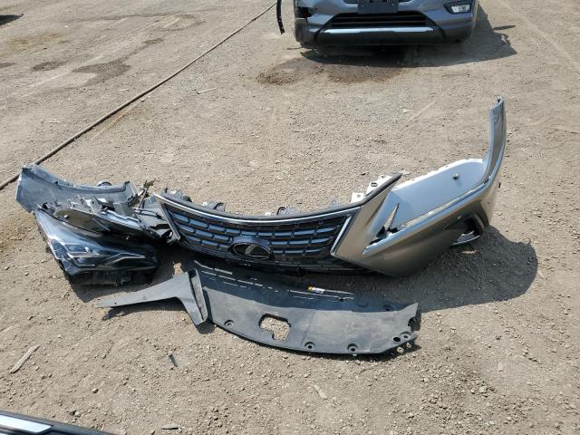 JTJHARDZ8M5028373 - 2021 LEXUS NX 300 BASE Gümüş foto 13