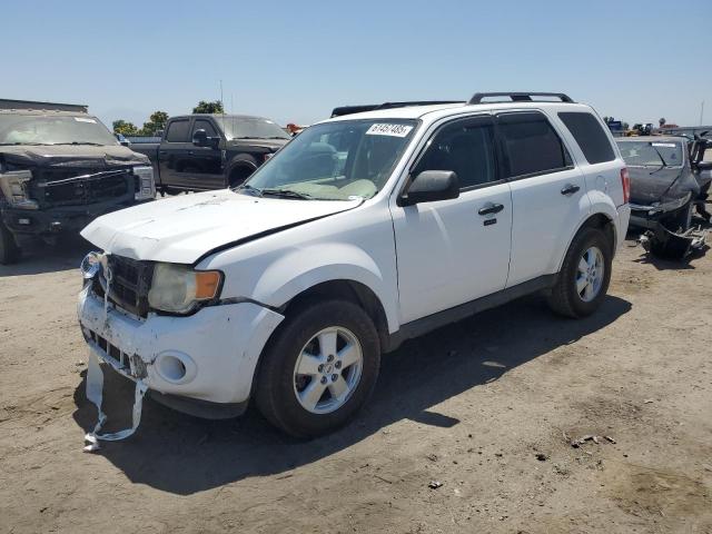 2010 FORD ESCAPE XLT, 