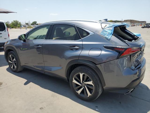 JTJGARBZ9M2183384 - 2021 LEXUS NX 300 BASE ნაცრისფერი ფოტო 2