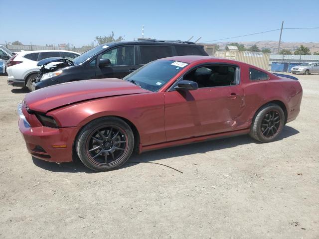 2014 FORD MUSTANG, null