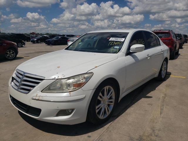 KMHGC4DF6BU127600 - 2011 HYUNDAI GENESIS 4.6L WHITE photo 2