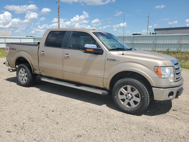 1FTFW1ET9EKD52846 - 2014 FORD F150 SUPERCREW GOLD photo 4