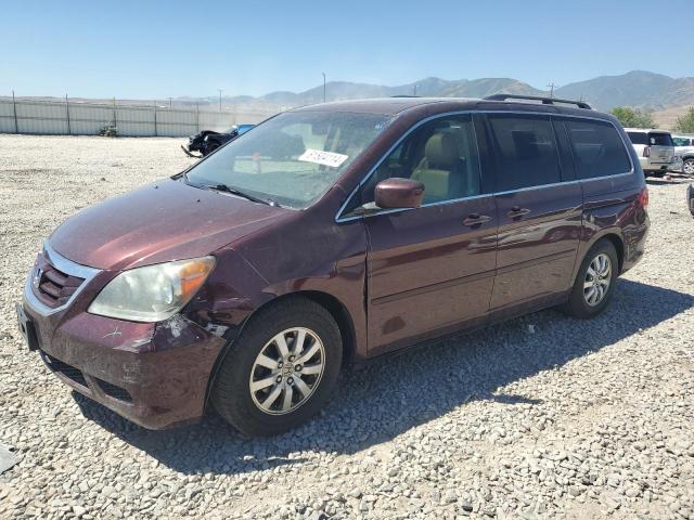 5FNRL38688B089080 - 2008 HONDA ODYSSEY EXL MAROON photo 1