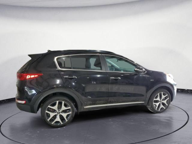 KNDPRCA60K7519231 - 2019 KIA SPORTAGE SX BLACK photo 3