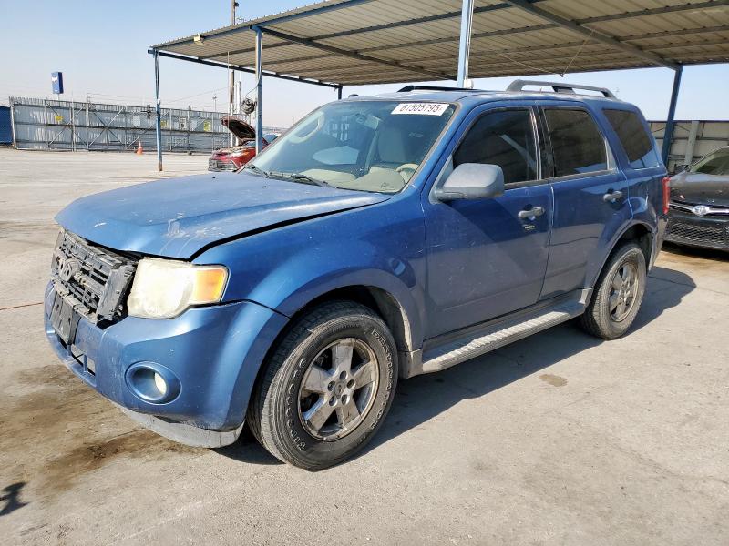 2010 FORD ESCAPE XLT, 