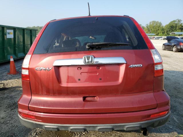 5J6RE4H48BL090260 - 2011 HONDA CR-V SE BURGUNDY photo 6