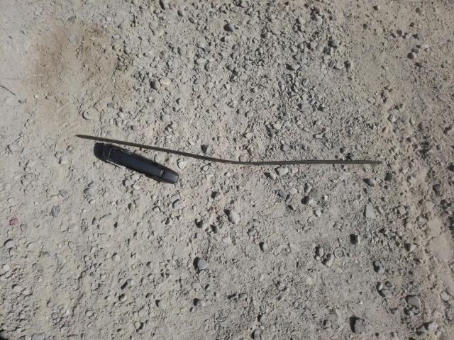 JF1SF6550YH713286 - 2000 SUBARU FORESTER S ვერცხლისფერი ფოტო 12