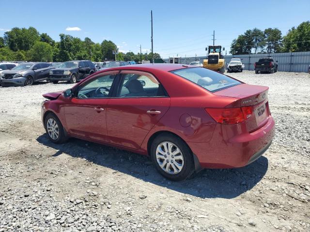 KNAFU4A25A5882547 - 2010 KIA FORTE EX RED photo 2