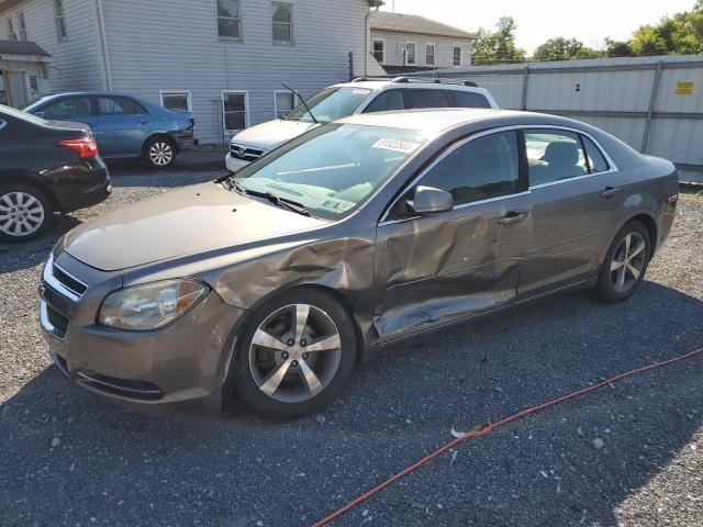 1G1ZC5E18BF220847 - 2011 CHEVROLET MALIBU 1LT GRAY photo 1