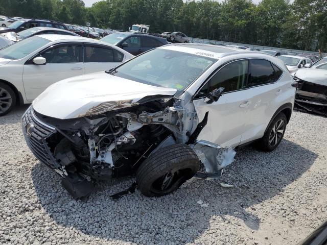 JTJGARDZ6M5028240 - 2021 LEXUS NX 300 BASE Ağ foto 1