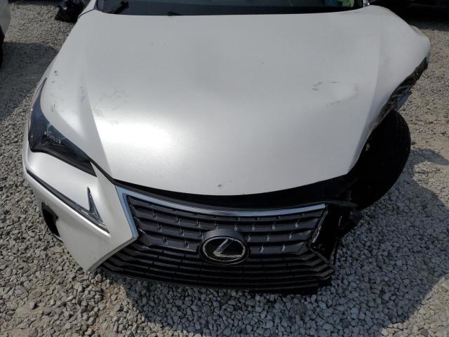 JTJGARDZ6M5028240 - 2021 LEXUS NX 300 BASE Ağ foto 12