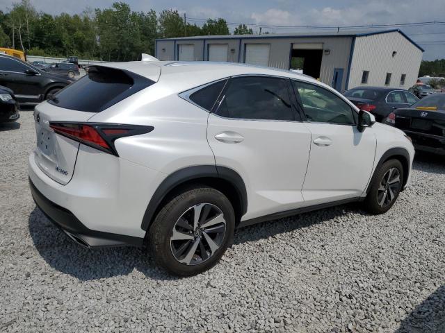 JTJGARDZ6M5028240 - 2021 LEXUS NX 300 BASE Ağ foto 3