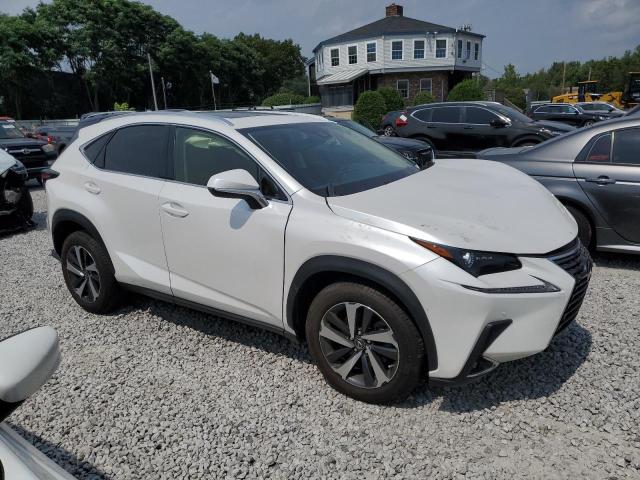 JTJGARDZ6M5028240 - 2021 LEXUS NX 300 BASE Ağ foto 4
