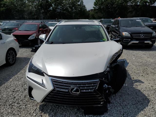 JTJGARDZ6M5028240 - 2021 LEXUS NX 300 BASE Ağ foto 5