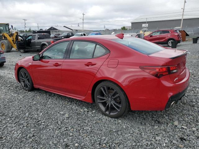 19UUB3F87JA800415 - 2018 ACURA TLX ELITE RED photo 2