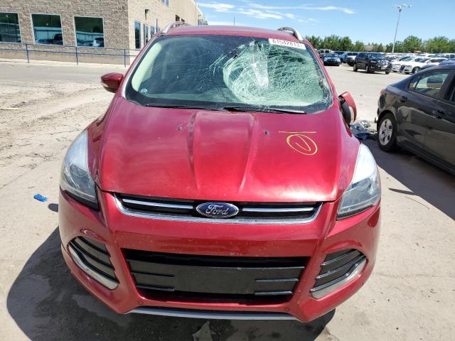 1FMCU9J96DUA26440 - 2013 FORD ESCAPE TITANIUM RED photo 5