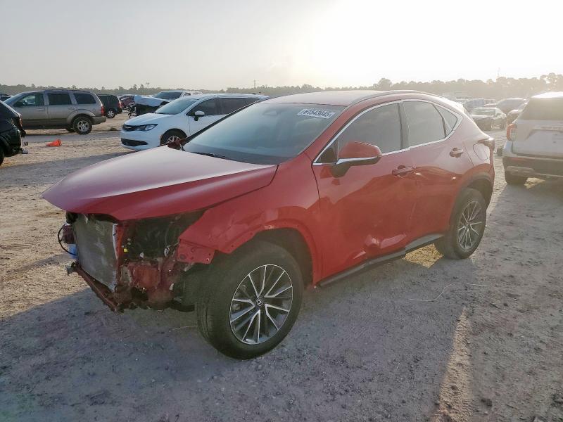2024 LEXUS NX 250 BASE, null