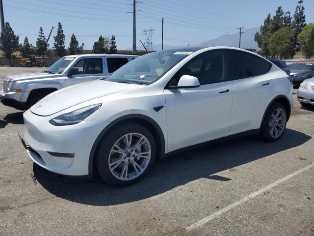 2023 TESLA MODEL Y, null