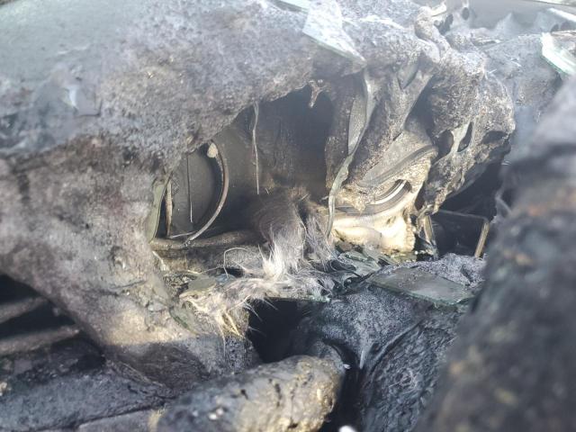 5GAERDKW4KJ131693 - 2019 BUICK ENCLAVE AVENIR GRAY photo 9