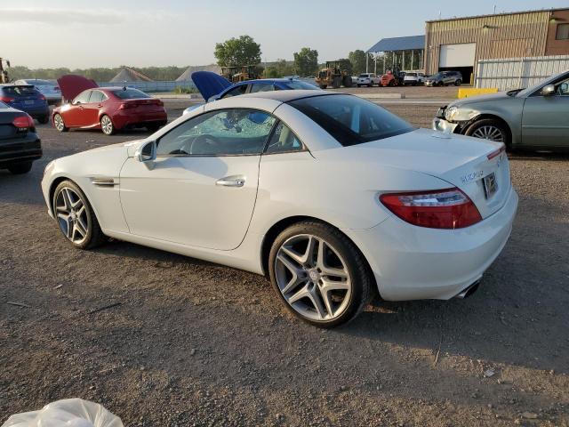 WDDPK4HA9DF058470 - 2013 MERCEDES-BENZ SLK 250 WHITE photo 2