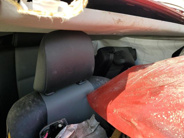 JTENU5JR3N6049486 - 2022 TOYOTA 4RUNNER SR5/SR5 PREMIUM 红色 照片 10