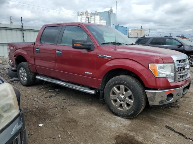 1FTFW1ET6DFD65206 - 2013 FORD F150 SUPERCREW RED photo 4