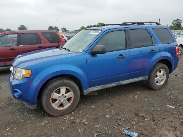 1FMCU9DG0BKA36271 - 2011 FORD ESCAPE XLT BLUE photo 1