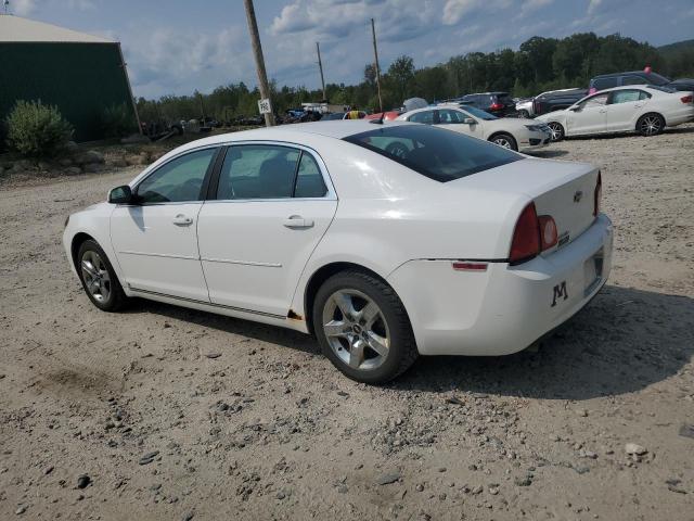 1G1ZH57B29F163756 - 2009 CHEVROLET MALIBU 1LT WHITE photo 2