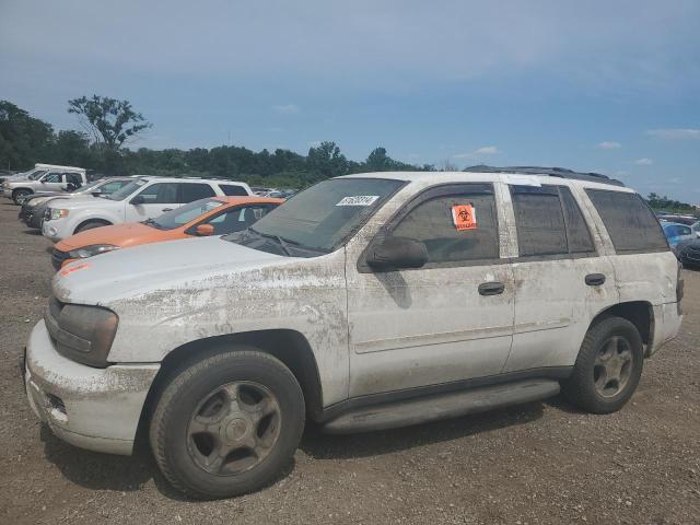 1GNDT13SX72241288 - 2007 CHEVROLET TRAILBLAZE LS WHITE photo 1