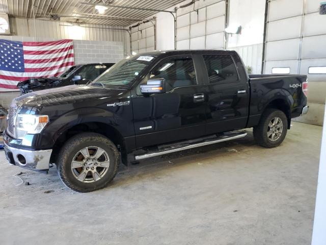 2014 FORD F150 SUPERCREW, 