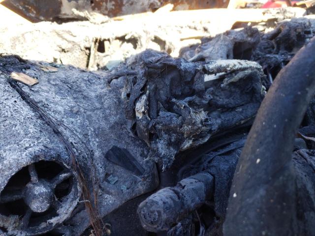 1G1JA5SH5F4210587 - 2015 CHEVROLET SONIC LS 红色 照片 8