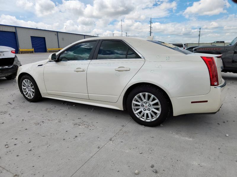 1G6DE5E59D0179619 - 2013 CADILLAC CTS LUXURY COLLECTION Սպիտակ լուսանկար 2