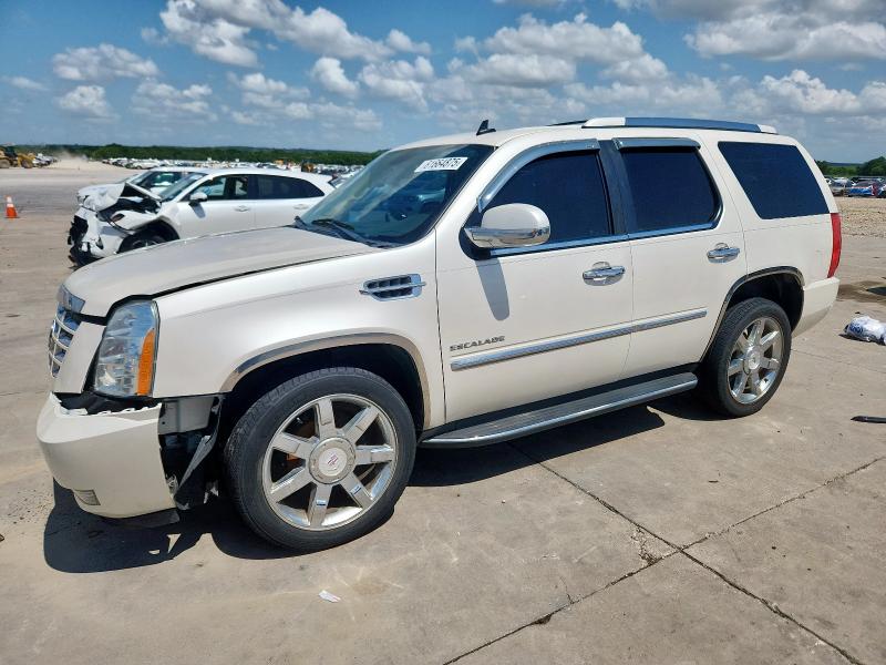 2011 CADILLAC ESCALADE LUXURY, null