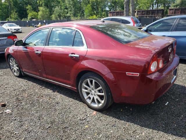 1G1ZK57709F194467 - 2009 CHEVROLET MALIBU LTZ 红色 照片 2