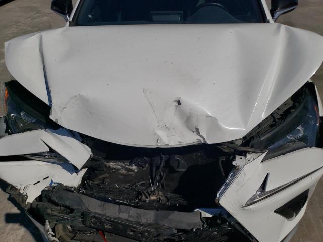 JTJSARBZ1M5021869 - 2021 LEXUS NX 300 BASE Ağ foto 12