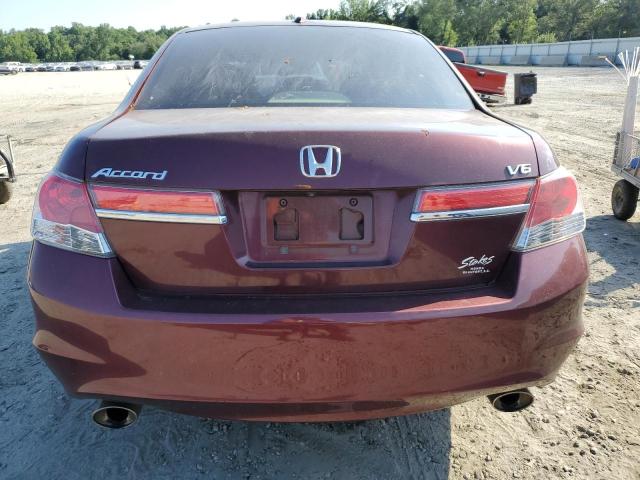 1HGCP3F80CA034544 - 2012 HONDA ACCORD EXL BURGUNDY photo 6