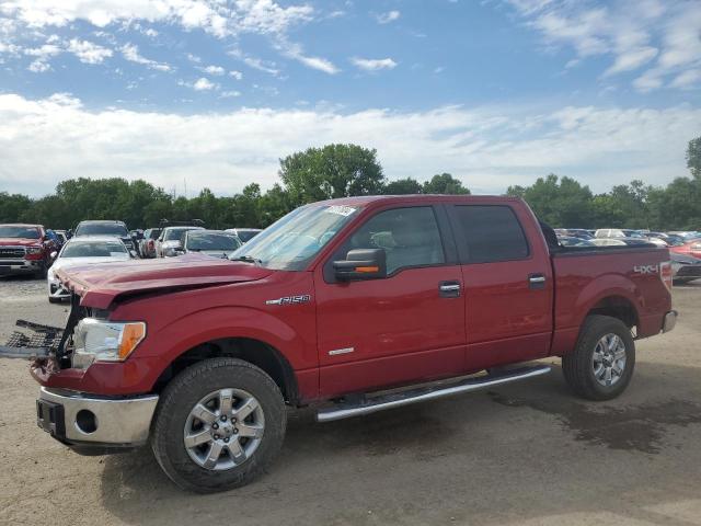 1FTFW1ET0DKF85190 - 2013 FORD F150 SUPERCREW RED photo 1