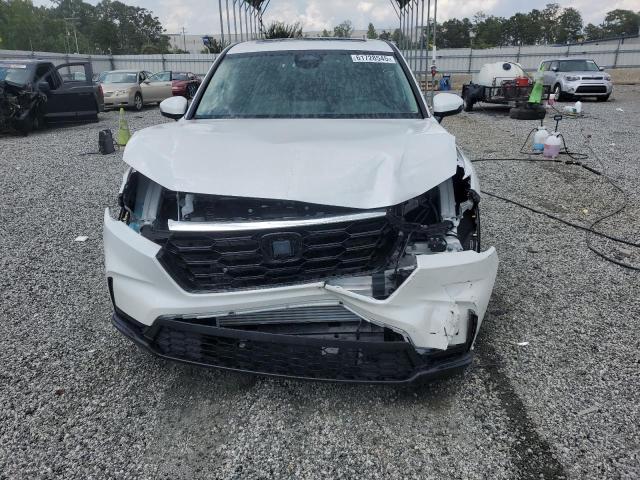 5J6RS3H4XSL008631 - 2025 HONDA CR-V EX WHITE photo 5