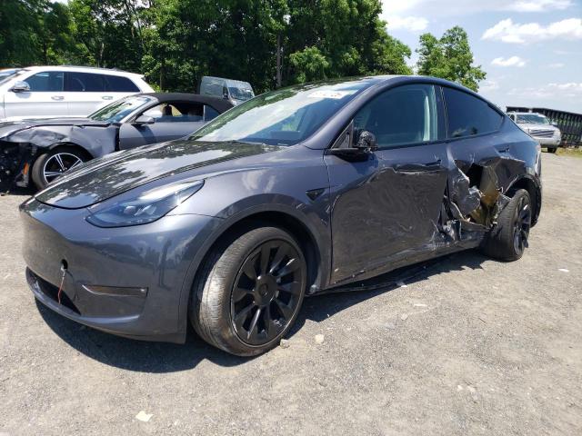 2023 TESLA MODEL Y, null