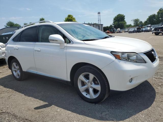 2T2BK1BA3BC118448 - 2011 LEXUS RX 350 WHITE photo 4