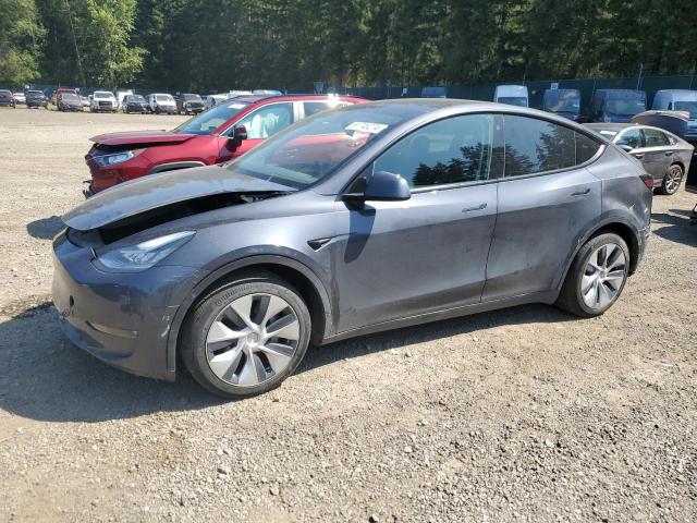 7SAYGAEE1PF609007 - 2023 TESLA MODEL Y GRAY photo 1