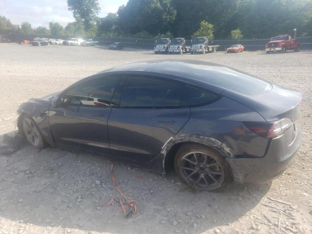 5YJ3E1EA0NF254807 - 2022 TESLA MODEL 3 Сірий фото 2