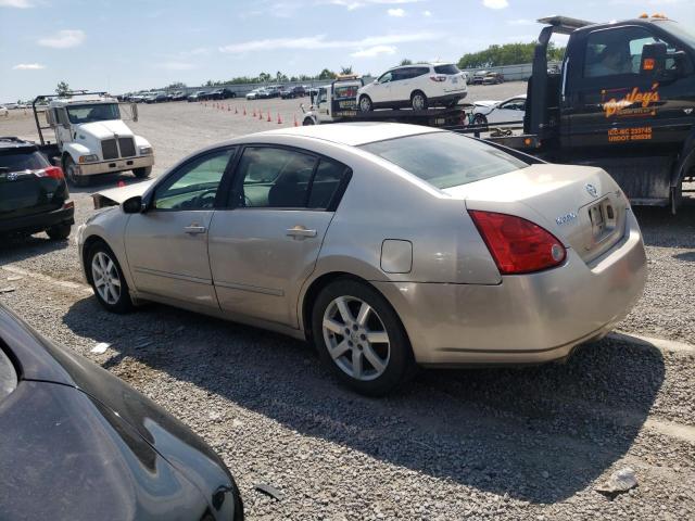 1N4BA41E35C842169 - 2005 NISSAN MAXIMA SE GOLD photo 2