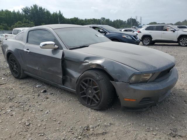 1ZVBP8AM7B5116528 - 2011 FORD MUSTANG GRAY photo 4