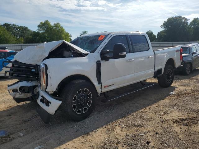 2025 FORD F250 SUPER DUTY, 