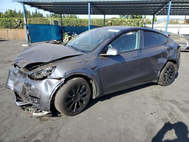 2023 TESLA MODEL Y, null